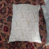 بالشت