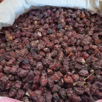 آلوچه خشک|خوردنی و آشامیدنی|تهران, بازار|دیوار