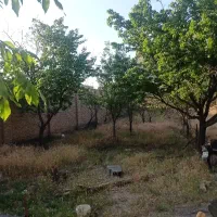 زمین-در-روستای-بهار