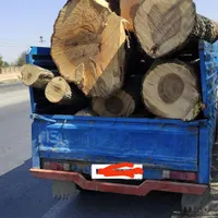 خرید چوب تر، خشک ، ضایعات به قیمت بالا|خدمات باغبانی و درختکاری|خوی, |دیوار