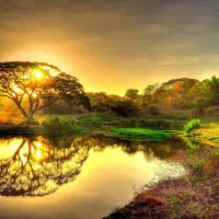 طبابت خاص  مذهبی بوشهر و اطراف