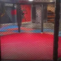 منشی خانم باشگاه ورزشی رزمی سانس آقایان|استخدام اداری و مدیریت|کرمان, |دیوار