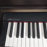 پیانو دیجیتال|پیانو، کیبورد، آکاردئون|کاشمر, |دیوار