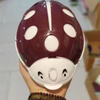 پلاسکو|ظروف نگهدارنده، پلاستیکی، یک‌بارمصرف|همدان, |دیوار