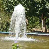 دوربین کنون80d