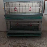 قفس مرغ تخم گذار