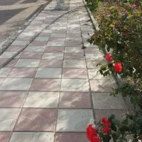 استخدام موزائیک کار بصورت متری برای اجرای پارک