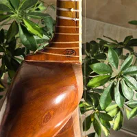 تار حرفه ای|سازهای سنتی|کاشمر, |دیوار