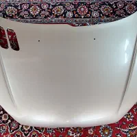 کاپوت ۲۰۶ رنگ شده