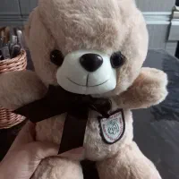 عروسک تدی خارجی