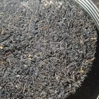 تولید وفروش چای سنتی کارگاهی چین اول