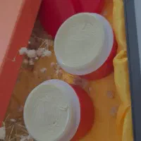 کرم معجزه/سفیدکننده/رفع لک|آرایشی، بهداشتی، درمانی|بیرجند, |دیوار