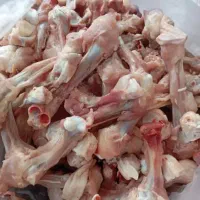 غذای سگ|لوازم جانبی حیوانات|رشت, سعدی (تختی)|دیوار