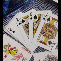 پاسور اورجینال همه مدل