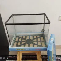 یک عدد آکواریوم شیشه خم|ماهی|لنگرود, |دیوار