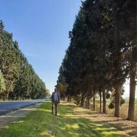 مشارکت-در-ساخت-یا-معاوضه