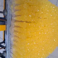 فروش نبات مستقیم از کارخانه