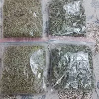 آویشن ونعنا کوهی محلی