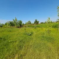 ویلاباغ با کانکس۲خواب ۵کیلومتری دریای زیباکنار|فروش زمین و ملک کلنگی|خشکبیجار, |دیوار