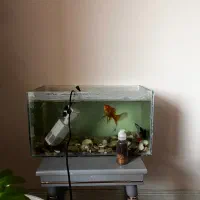 آکواریوم و ماهی