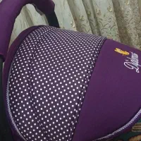 کریر دلیجان