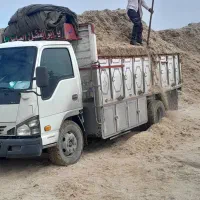 باگاس (علوفه نیشکر)، کاه