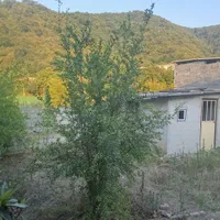 سوییت ، خانه ویلایی توسکستان|اجارهٔ کوتاه‌مدت ویلا و باغ|گرگان, |دیوار