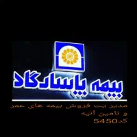 استخدام نماینده در صنعت بیمه برای