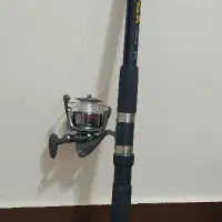 لنسر ماهیگیری