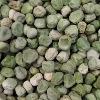 فروش انواع بذر یونجه پیاز باقله نخود فرنگی غصب|خدمات باغبانی و درختکاری|داراب, |دیوار