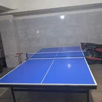میز پینگ پنگ