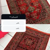 فرش قرمزورنگی بنداز زیرپات|فرش|اهواز, زندوکیلی|دیوار