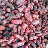 فروش خرمای پیارم