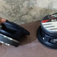 میدرنج سانتاکروز اورجینال|قطعات یدکی و لوازم جانبی|سلماس, |دیوار