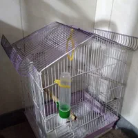 قفس پرنده سالم
