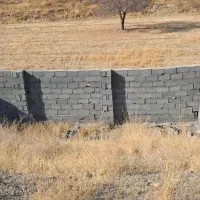 فروش فوری زمین باغی کاهو ۶۰۰متری|فروش زمین و ملک کلنگی|گلمکان, |دیوار