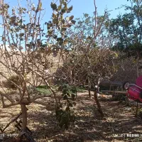 فروش دو واحد ویلایی شهرک شهرستانک|فروش خانه و ویلا|دشتابی, |دیوار