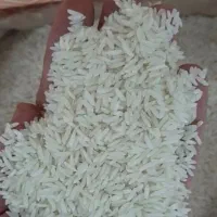 فوری برنج هاشمی درجه‌یک امساله سورتینگ شده فوری