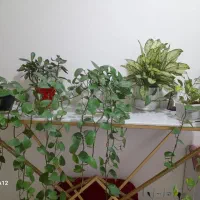 کنسول کاربردی