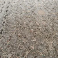 قالی|فرش|جوانرود, |دیوار