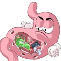 بهبود زخم معده