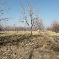 باغ الوان در روستای گوروان عجبشیر|فروش زمین و ملک کلنگی|عجب شیر, |دیوار