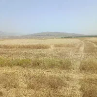 کاه گندم باغملک امسال