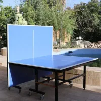 میز پینگ پنگ ۴ و ۸ چرخ تاشو ضد خش