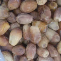 خرمای قصب|عمده‌فروشی|داراب, |دیوار