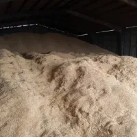 کاه گندم فروشی|لوازم جانبی حیوانات|گلپایگان, |دیوار