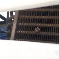 یخچال پرایدوانت|قطعات یدکی و لوازم جانبی|نسیم‌شهر, |دیوار