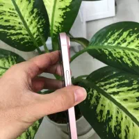 ایفون ۱۵ نرمال صورتی در حد نو تمیز سلامت ch|موبایل|تهران, خزانه|دیوار