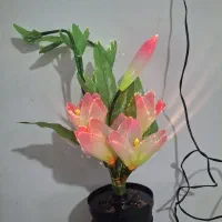 چراغ گل فیبر نوری تزیینی