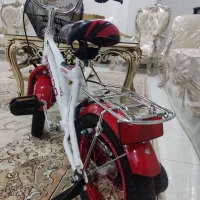 دوچرخه12بهترین نو نو|دوچرخه، اسکیت، اسکوتر|ملایر, |دیوار